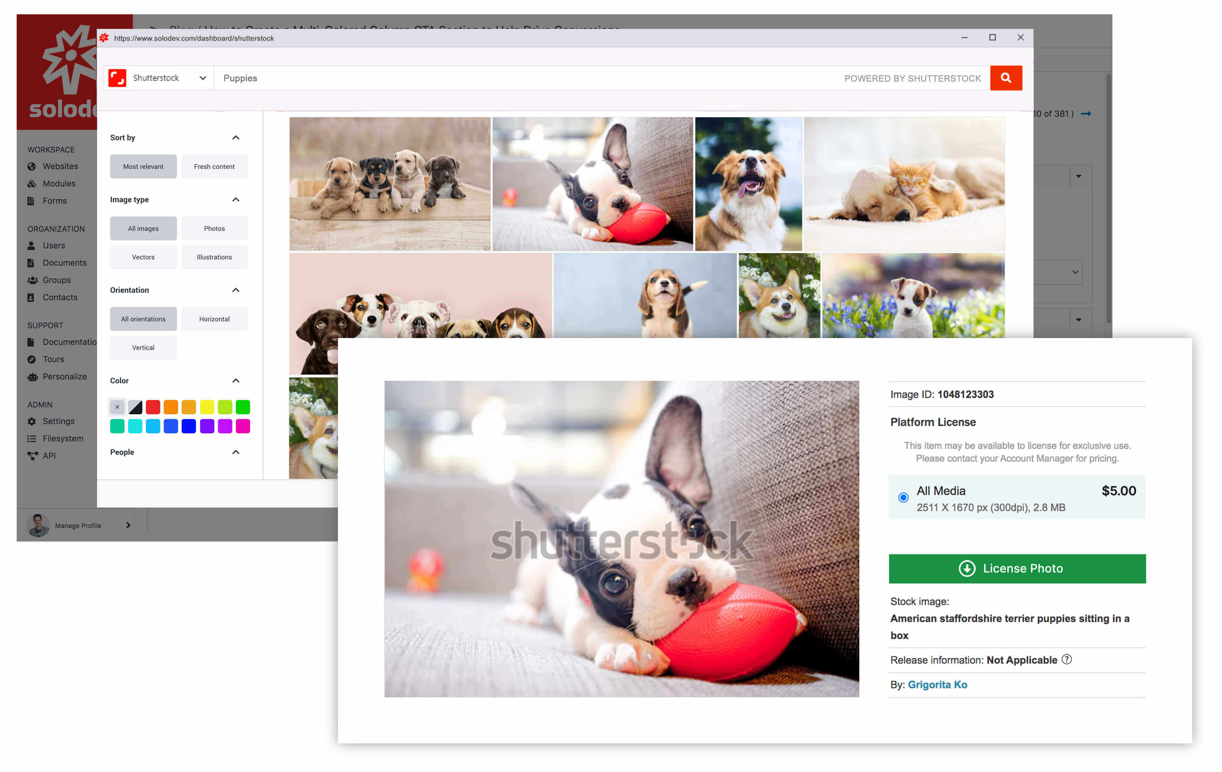 Composite of Shutterstock interface