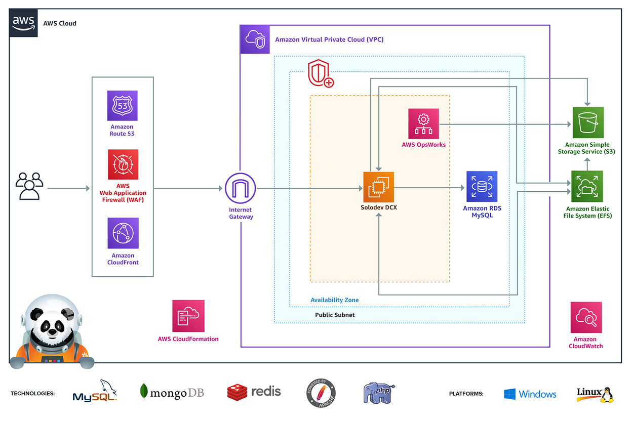 Solodev DCX Professional Edition architecture diagram for AWS deployment