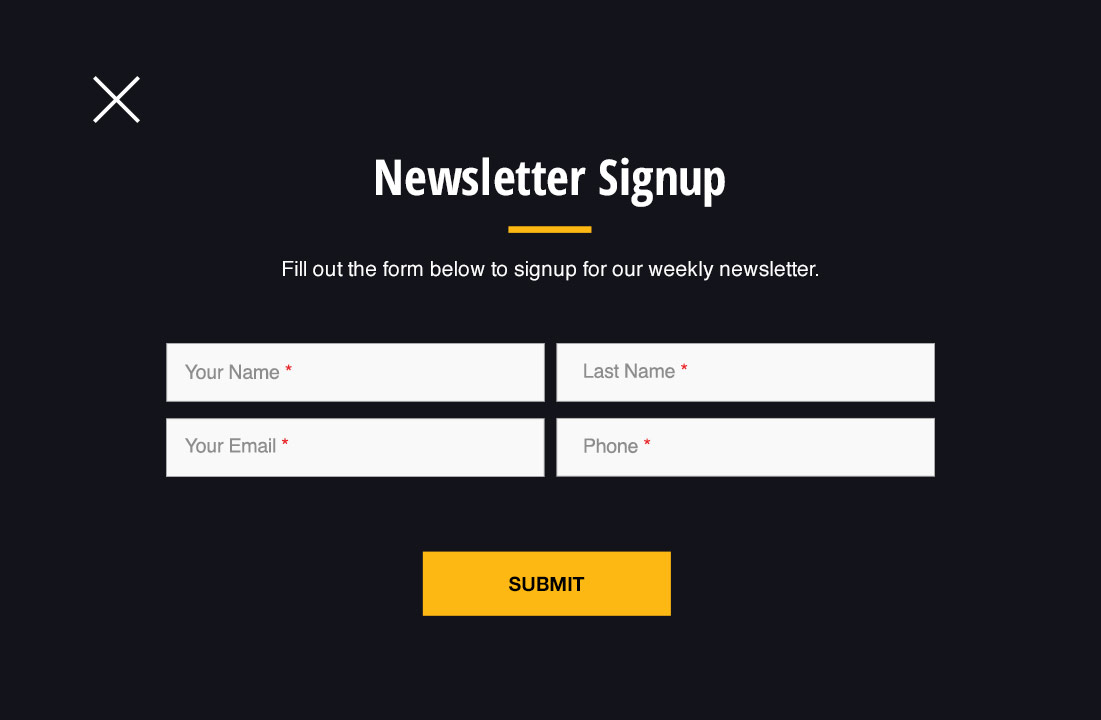 Newsletter Sign-Up Form