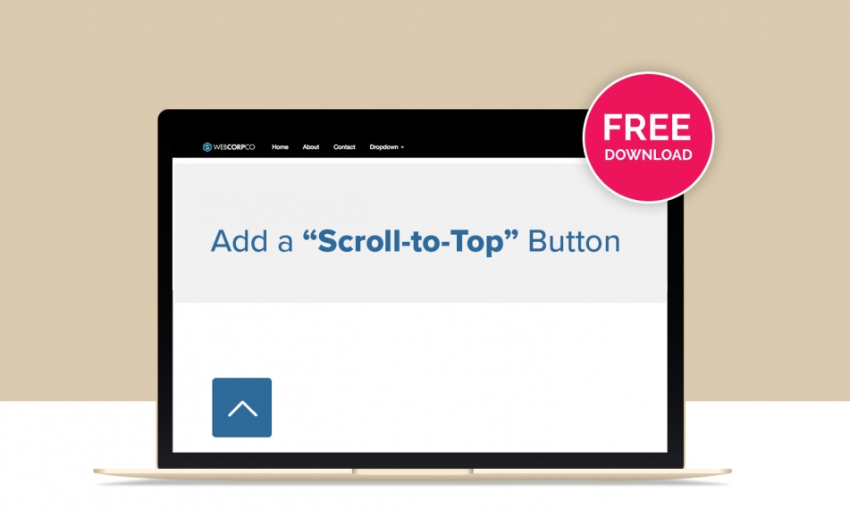 mulighed fænomen Han Add a Scroll-to-Top Button to your Website