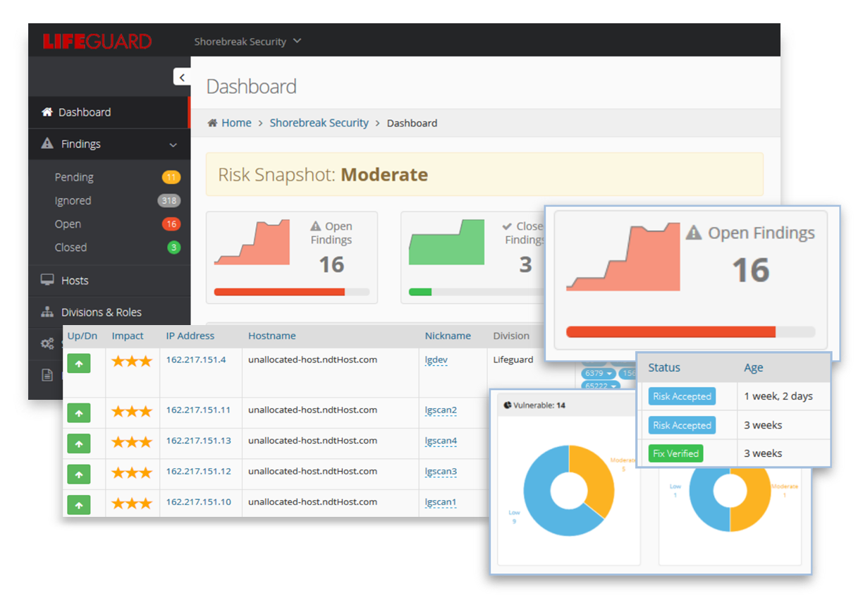 Composite Lifeguard dashboards for managing cybersecurity. featured Image